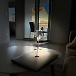 Feigenterrasse Zaboric