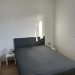 Feigenterrasse Zaboric