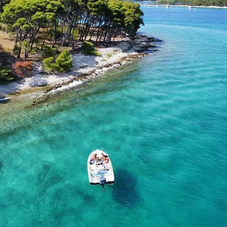 Feigenterrasse Zaboric