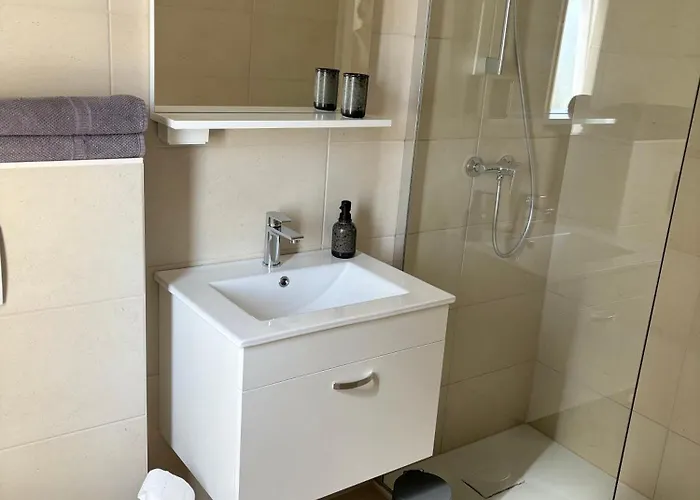 Feigenterrasse Zaboric