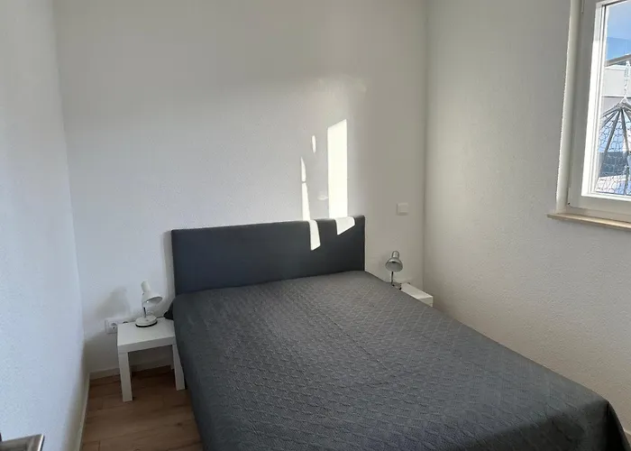 Feigenterrasse Zaboric